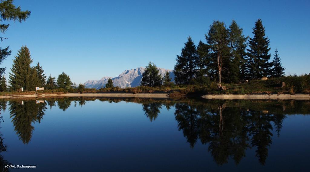 Hinterburgschwaig Hof Leilighet Sankt Johann im Pongau Eksteriør bilde