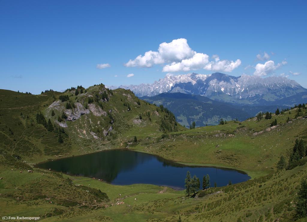 Hinterburgschwaig Hof Leilighet Sankt Johann im Pongau Eksteriør bilde