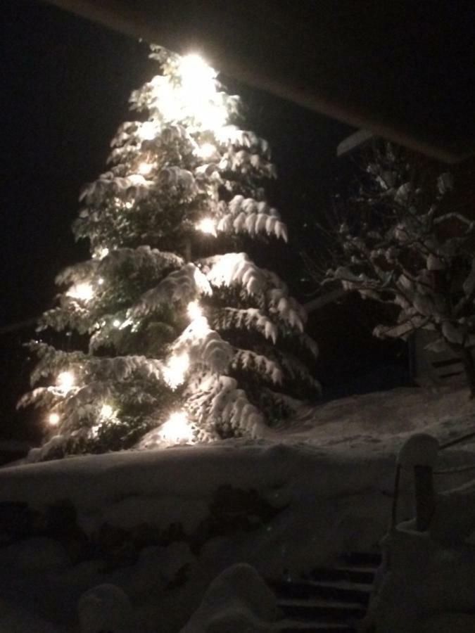 Hinterburgschwaig Hof Leilighet Sankt Johann im Pongau Eksteriør bilde