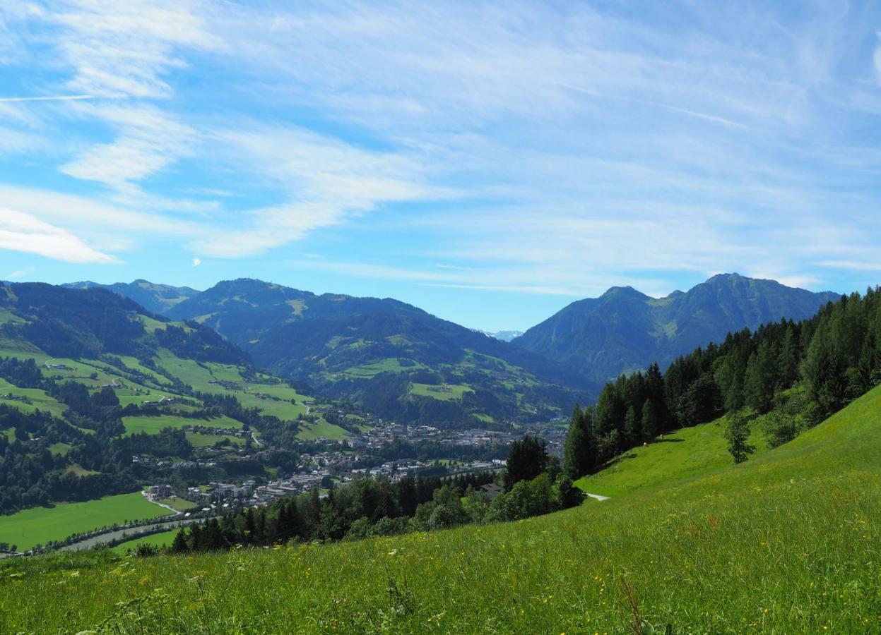 Hinterburgschwaig Hof Leilighet Sankt Johann im Pongau Eksteriør bilde